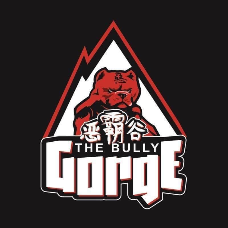 The Bully Gorge