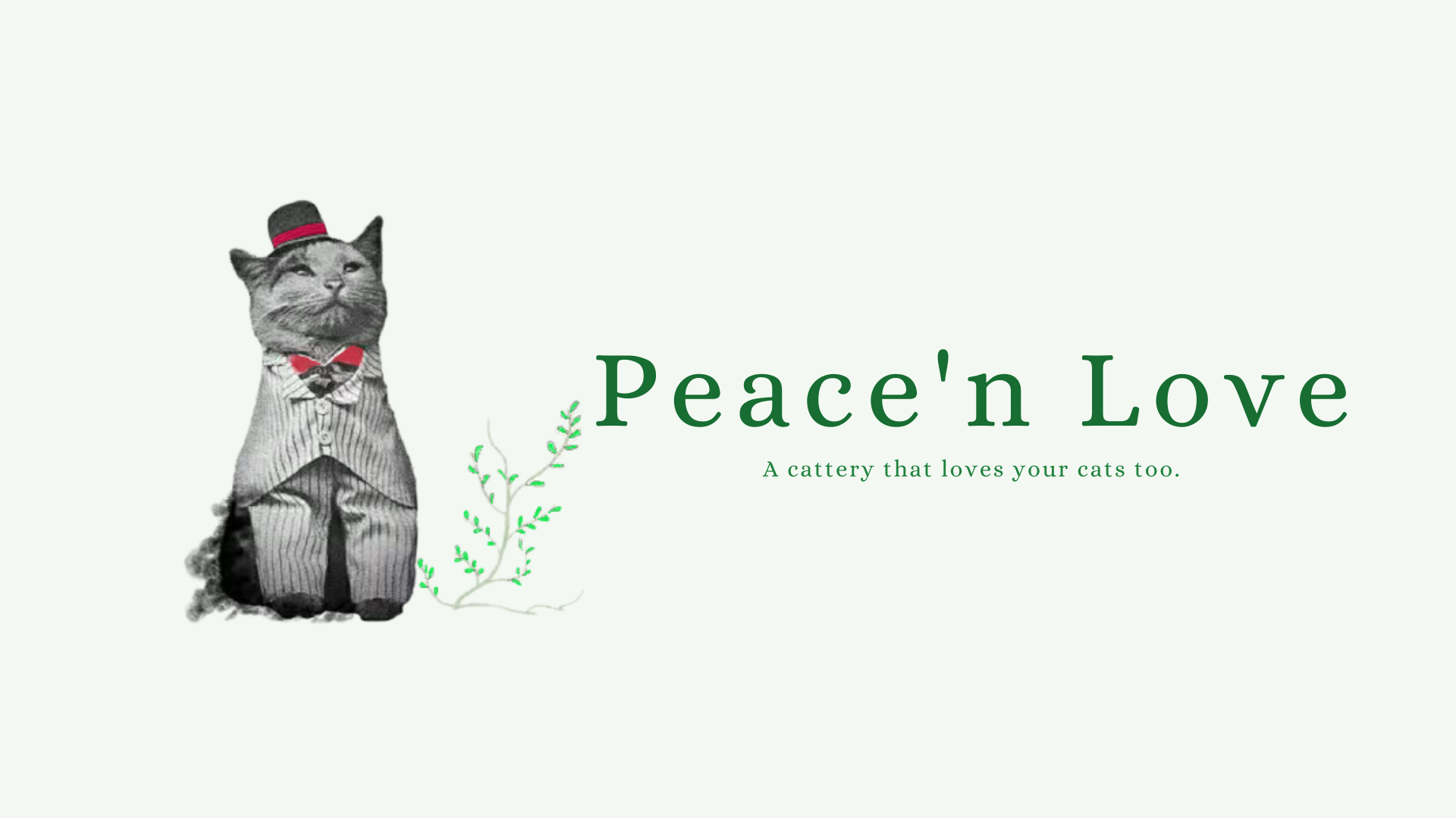 Peace'n Love Cattery
