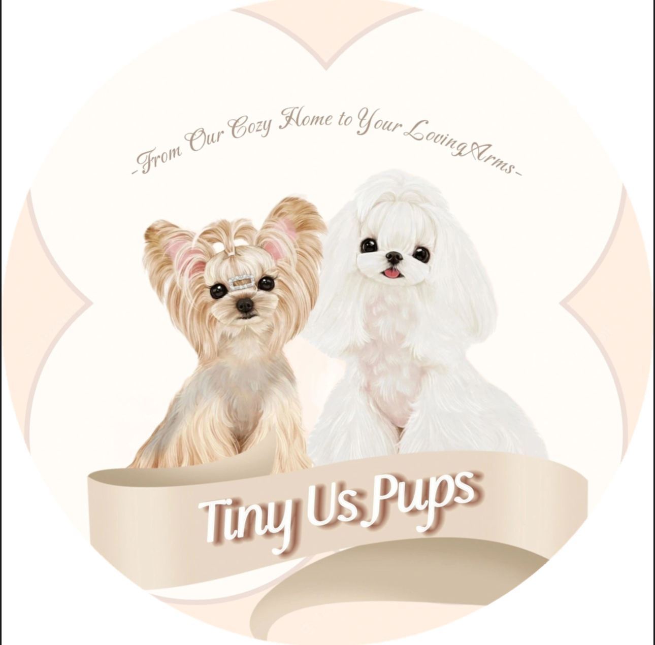 Tiny Us Pups